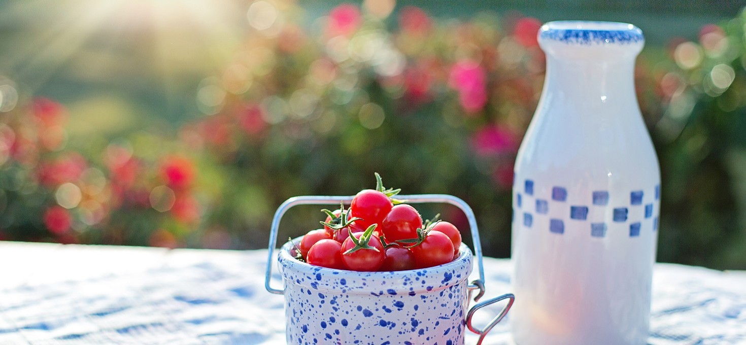 Casino con bono sin deposito