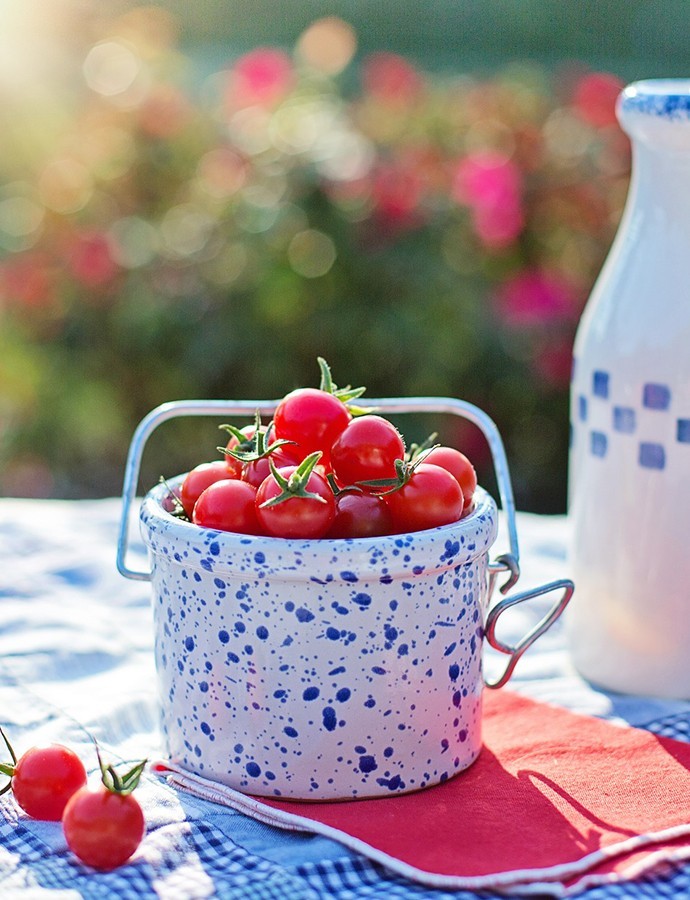 Pamper casino betrug